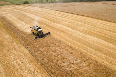 Aerial view of combine harvester harvesting large ripe wheat field. Agriculture from drone viewの写真素材