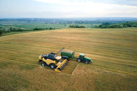 Aerial view of combine harvester unloading grain in cargo trailer working during harvesting season...