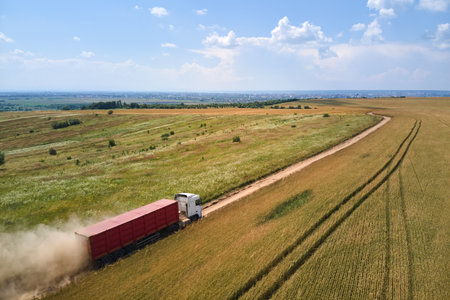 Aerial view of lorry cargo truck driving on dirt road between agricultural wheat fields. Transportation of grain after being harvested by combine harvester during harvesting seasonの写真素材