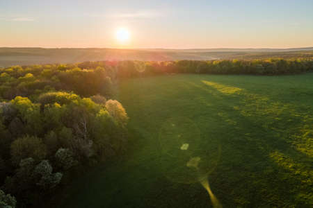 Aerial view of woodland with fresh green trees and agricultural arable fields in early spring at sunsetの写真素材