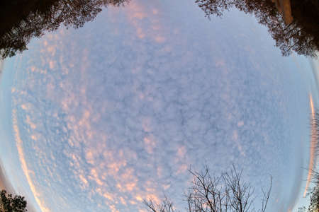 Dark foliage of small trees and bush against bright colorful sunset sky with vivid clouds...