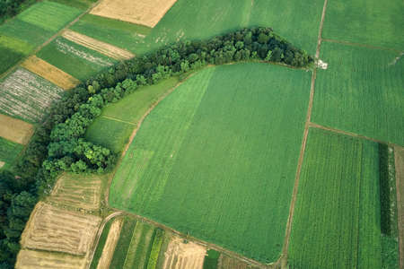 Aerial landscape view of green and yellow cultivated agricultural fields with growing crops on...