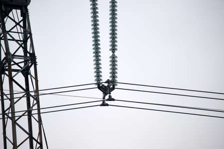 Electric power lines divided by safe guard insulating frame transfening safely high voltage...