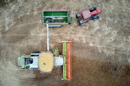 Aerial view of combine harvester unloading grain in cargo trailer working during harvesting season on large ripe wheat field. Agriculture and transportation of raw farm products conceptの写真素材