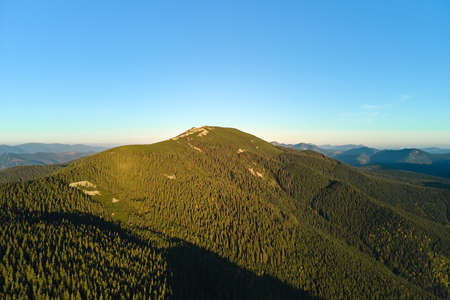 Aerial view of hillside with dark spruce forest trees at fall bright day. Beautiful scenery of wild mountain woodlandの写真素材