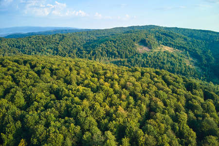 Aerial view of mountain hills covered with dense green lush woods on bright summer day