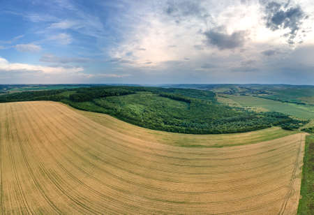 Aerial landscape view of yellow cultivated agricultural fields with ripe wheat and green woods on...