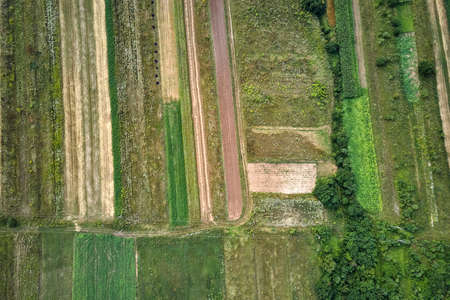 Aerial landscape view of green and yellow cultivated agricultural fields with growing crops on...
