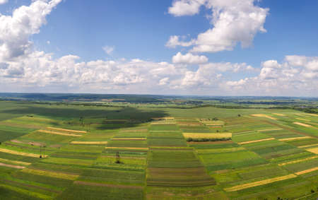 Aerial landscape view of green cultivated agricultural fields with growing crops on bright summer dayの写真素材