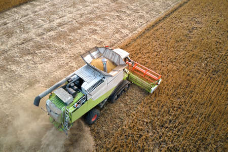Aerial view of combine harvester working during harvesting season on large ripe wheat field....