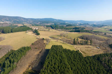 Aerial view of pine forest with large area of cut down trees as result of global deforestation...