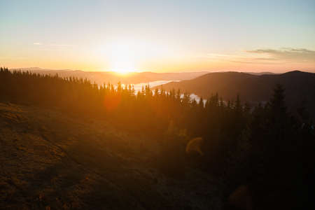Aerial view of foggy evening over dark pine forest trees at bright sunset. Amazingl scenery of wild...