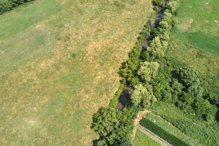 Aerial landscape view of green and yellow cultivated agricultural fields with growing crops on...