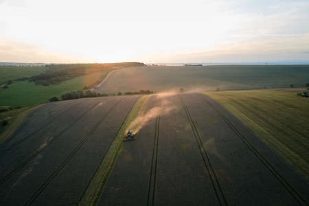 Aerial view of combine harvester working during harvesting season on large ripe wheat field. Agriculture conceptの写真素材