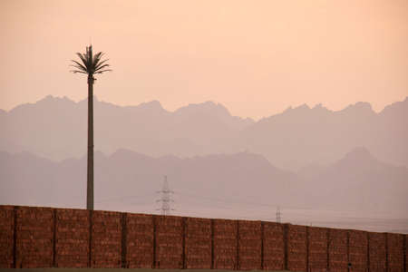 Sunset landscape with palm tree against dark mountain peaks in egyptian desert