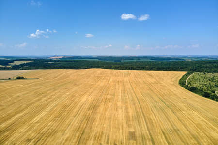 Aerial landscape view of yellow cultivated agricultural field with dry straw of cut down wheat after harvestingの写真素材