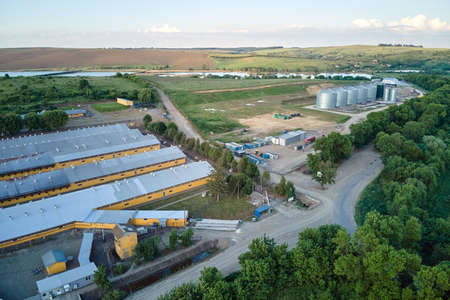 Aerial view of cattle farm buildings between green farmlandsの写真素材