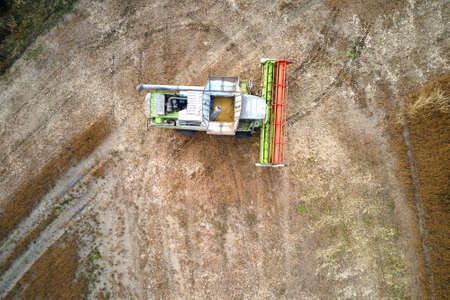 Aerial view of combine harvester working during harvesting season on large ripe wheat field. Agriculture conceptの写真素材