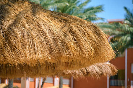Detail of straw shade umbrellas on seaside in tropical resort. Summer vacations and getaway conceptの写真素材