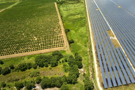 Aerial view of sustainable electric power plant between agricultural farm fields with solar...