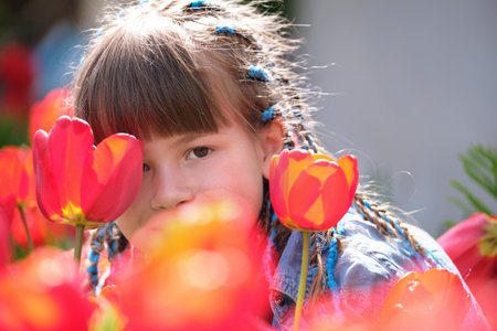 Happy child girl enjoying sweet smell of red tulip flowers in summer gardenの写真素材