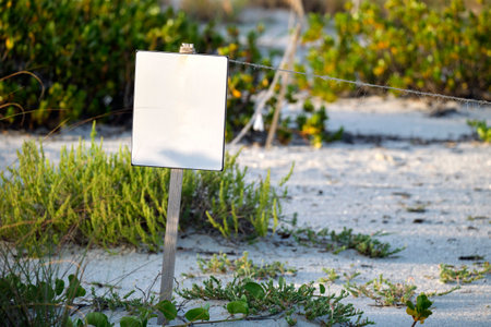 Empty signboard with copy space on seaside beach with small sand dunes and grassy vegetation on warm summer eveningの写真素材