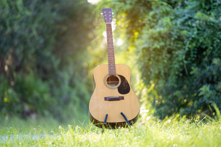 Acoustic guitar outdoors on greenery background. Concept of calm music