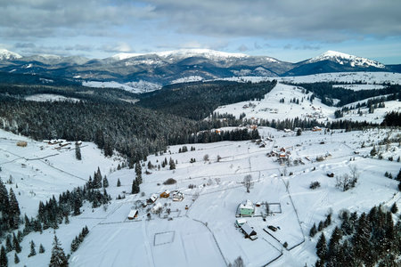 Winter landscape with small village houses between snow covered forest in cold mountainsの写真素材