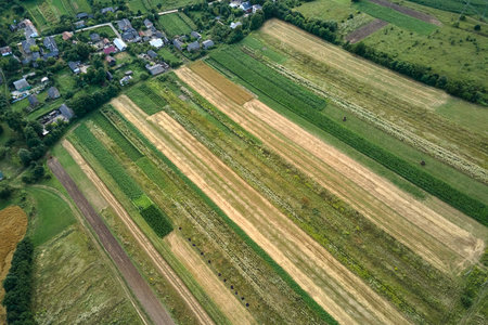 Aerial landscape view of green and yellow cultivated agricultural fields with growing crops on...