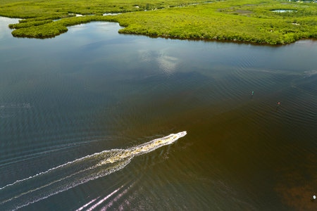 Overhead view of small boat on Everglades swamps with green vegetation between water inlets. Natural...
