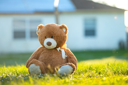 Concept of childhood. Big plush teddy bear sitting alone on green grass lawn in summerの写真素材