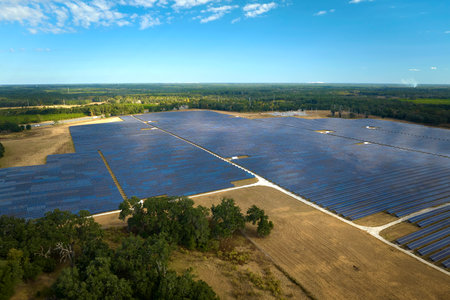 Aerial view of big sustainable electric power plant with many rows of solar photovoltaic panels for...