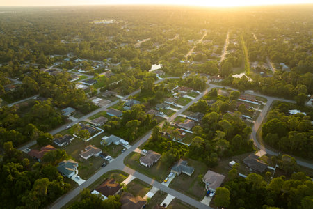 Aerial view of suburban landscape with private homes between green palm trees in Florida quiet residential areaの写真素材