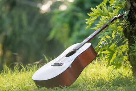 Acoustic guitar outdoors on greenery background. Concept of calm musicの写真素材