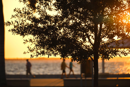 Dark silhouette of people resting under alcove roof on sea shore in public park at sunset