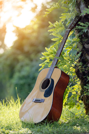 Acoustic guitar outdoors on greenery background. Concept of calm musicの写真素材