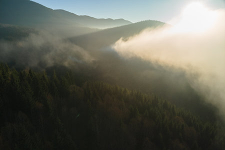 Aerial view of bright foggy morning over dark mountain forest trees at autumn sunrise. Beautiful...