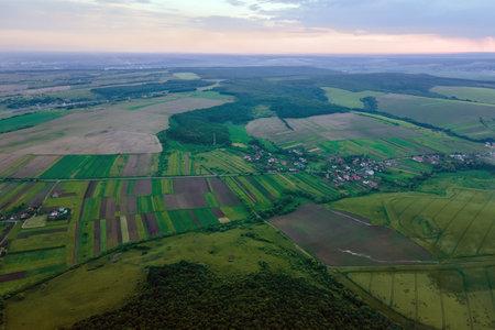 Agricultural cultivated field in summer season with growing crops. Green farm fields. Farming and...