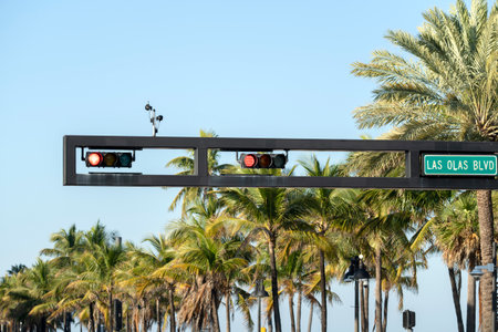 Traffic lights for traffic regulation high above street in Miami, Florida