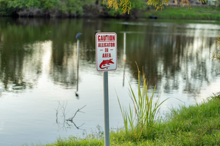 Alligator danger warning signpost in Florida waterfront park about caution and safety during walking near waterの写真素材
