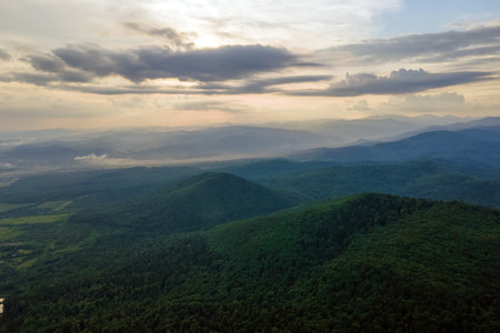 Aerial view of green pine forest with dark spruce trees covering mountain hills. Nothern woodland...