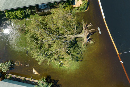 Hurricane Ian flooded house and fallen tree in Florida residential area. Natural disaster and its...