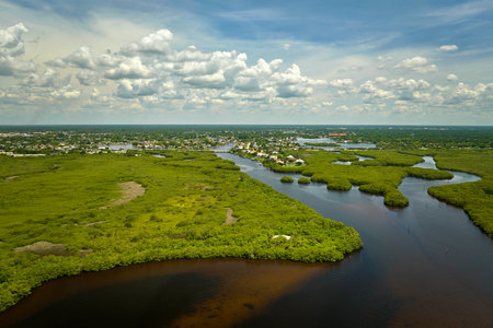 Aerial view of Florida wetlands with green vegetation between ocean water inlets and rural homes. Natural habitat of many tropical speciesの写真素材