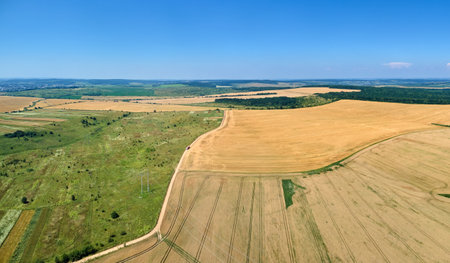 Aerial landscape view of yellow cultivated agricultural field with ripe wheat on bright summer dayの写真素材