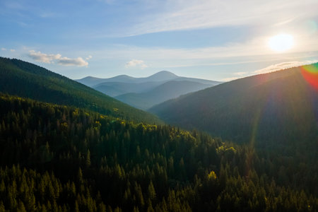Aerial view of foggy evening over high peaks with dark pine forest trees at bright sunset. Amazing...
