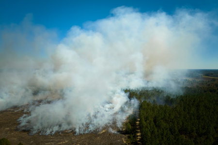 Aerial view of white smoke from forest fire rising up polluting atmosphere. Natural disaster conceptの写真素材