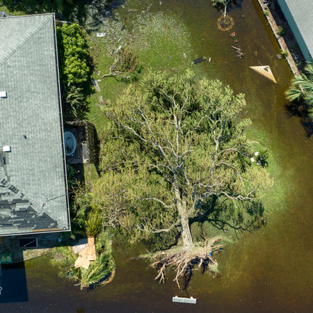 Aftermath of natural disaster. Hurricane Ian flooded house and fallen tree in Florida residential areaの写真素材