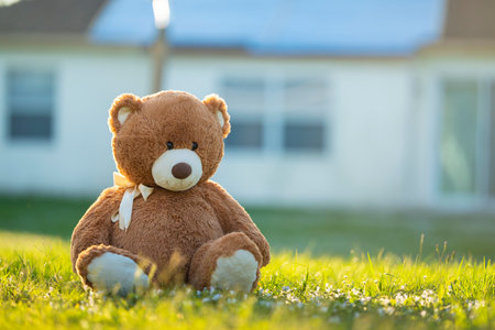 Big plush teddy bear sitting alone on green grass lawn in summer. Concept of childhoodの写真素材