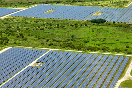 Aerial view of large sustainable electrical power plant with rows of solar photovoltaic panels for...