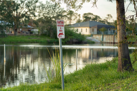 Warning sign about alligator in water in Florida park. Caution and safety during walking near waterfrontの写真素材
